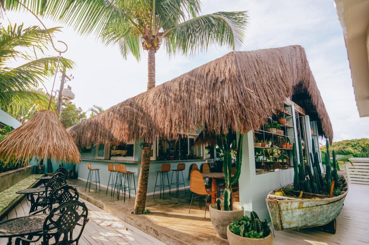 Cactus Lodge Pipa Praia de Pipa Buitenkant foto